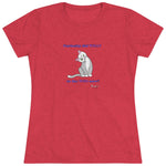 Load image into Gallery viewer, Curiosity Cat-Women&#39;s Triblend Tee
