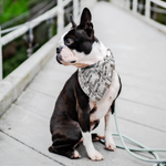 Load image into Gallery viewer, Faux-Paws-Pet Bandana
