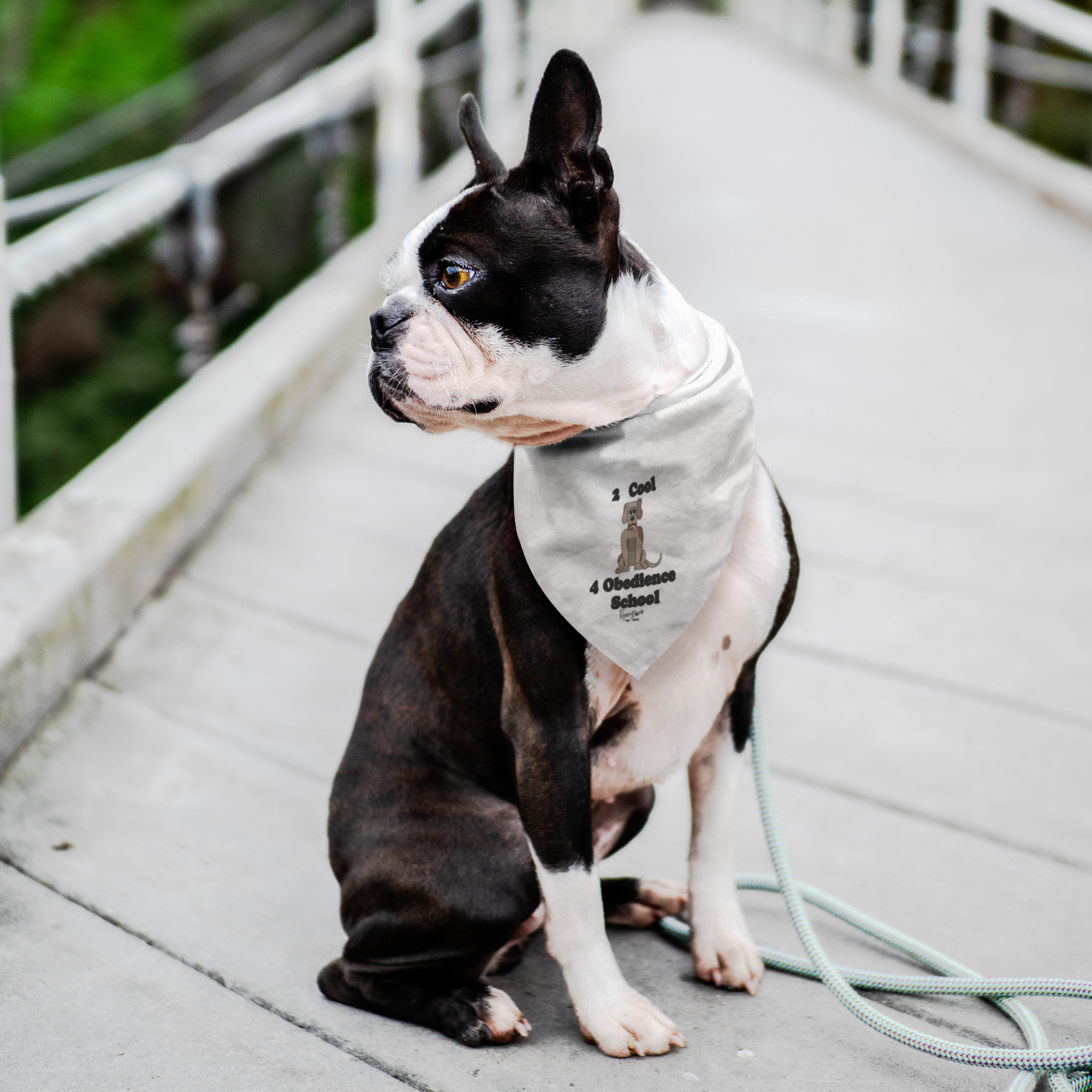 2 Cool-Pet Bandana