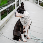 Load image into Gallery viewer, 2 Cool-Pet Bandana
