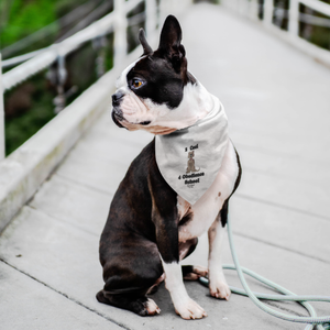 2 Cool-Pet Bandana
